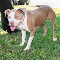 Thumbnail photo of Bilbo Waggins #2