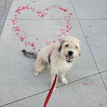 Thumbnail photo of Mando #2