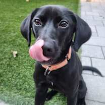 Thumbnail photo of Macie #4