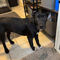 Thumbnail photo of Thea #4