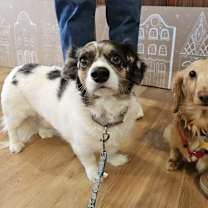 Thumbnail photo of Rommy & Sophia #1