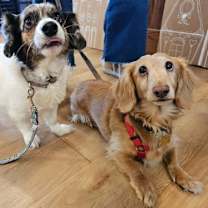 Thumbnail photo of Rommy & Sophia #2