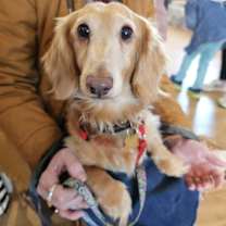 Thumbnail photo of Rommy & Sophia #4