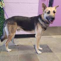 Thumbnail photo of Ruperto* #1