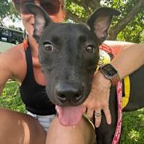 Thumbnail photo of Sirloin #2