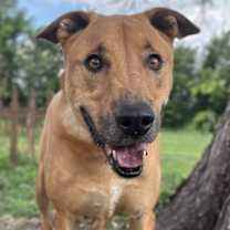 Thumbnail photo of Michael #2