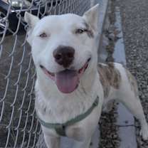 Thumbnail photo of Lucky #1