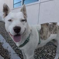 Thumbnail photo of Lucky #3