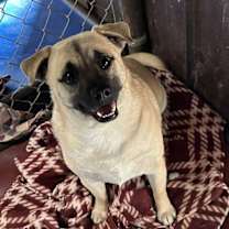 Thumbnail photo of Pete in TX #1