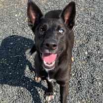 Thumbnail photo of Marilyn #1