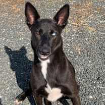 Thumbnail photo of Marilyn #2