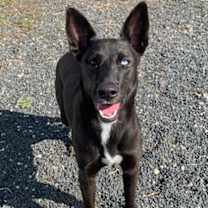 Thumbnail photo of Marilyn #3