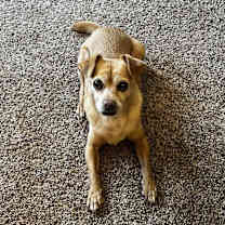 Thumbnail photo of Edward #2