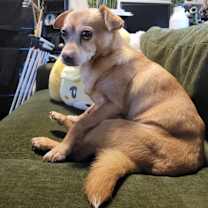 Thumbnail photo of Edward #3