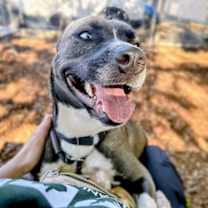 Thumbnail photo of Ellie #4