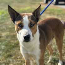 Thumbnail photo of Mawenzi #3