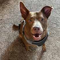 Thumbnail photo of Sugar #2