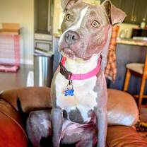 Thumbnail photo of Marina Baby  #3