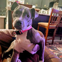 Thumbnail photo of Marina Baby  #4