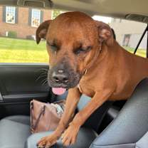 Thumbnail photo of Winston #2