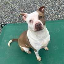 Thumbnail photo of Sissy #2