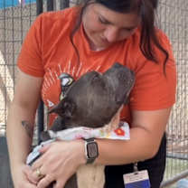 Thumbnail photo of Beretta #3