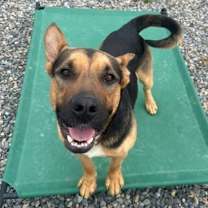 Thumbnail photo of Smoke #2