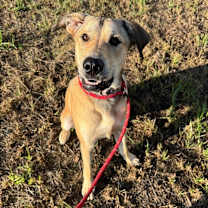 Thumbnail photo of Ozzy Pawsbourne #2