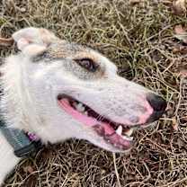 Thumbnail photo of Lady #2