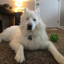 Thumbnail photo of Jack #1