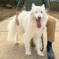 Thumbnail photo of Jack #2