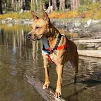 Thumbnail photo of Bingo #2