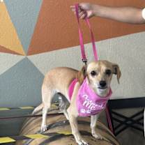 Thumbnail photo of Canela #4 #1