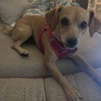 Thumbnail photo of Canela #4 #3