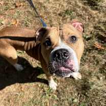 Thumbnail photo of Brother Eddie #2