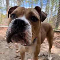 Thumbnail photo of Brother Eddie #3