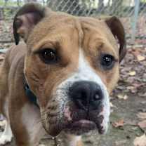 Thumbnail photo of Brother Eddie #4