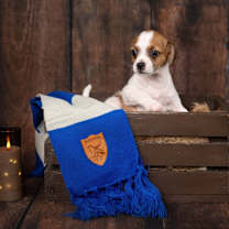 Thumbnail photo of Myrtle #2