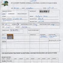 Thumbnail photo of WISDOM #4