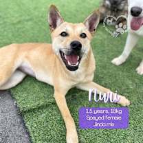 Thumbnail photo of Nuri #1