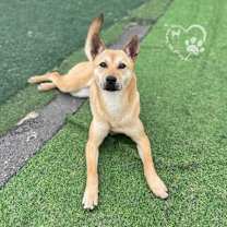 Thumbnail photo of Nuri #2