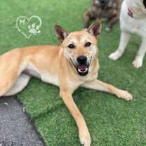 Thumbnail photo of Nuri #3