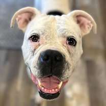 Thumbnail photo of Lydia #2