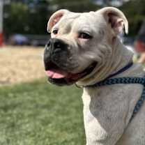 Thumbnail photo of Lydia #4