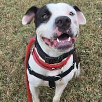 Thumbnail photo of Spot #2