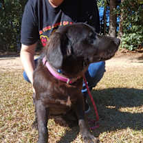 Thumbnail photo of Mira #1