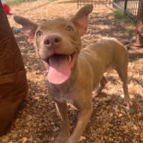 Thumbnail photo of Tessa #3