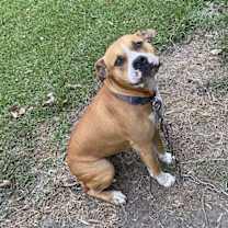 Thumbnail photo of Melly #2