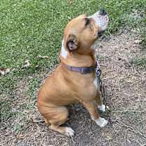 Thumbnail photo of Melly #3