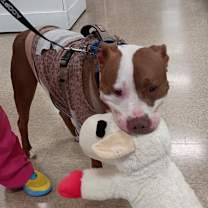 Thumbnail photo of Bug #4